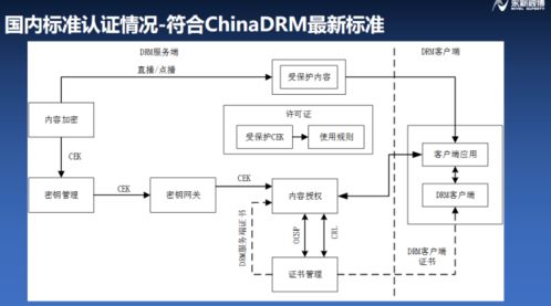浦江論道 永新視博李自東談符合融媒體安全的版權保護系統(tǒng)，構建IPTV行業(yè)健康生態(tài)